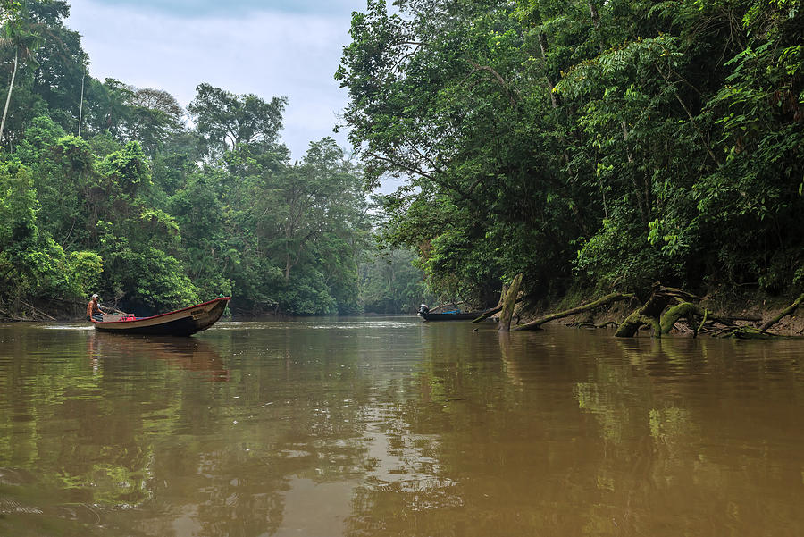 Amazonian tropical rainforest environment with calm river and canoe Photograph by Henri Leduc