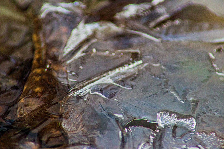 Amber Ice Photograph by Double AA Photography
