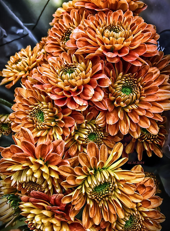 Amber Mum Bouquet Photograph by Catherine Melvin