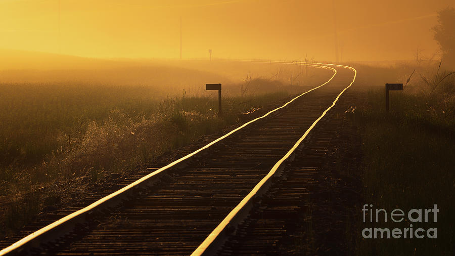 Amber Rails Photograph by Doug Sturgess