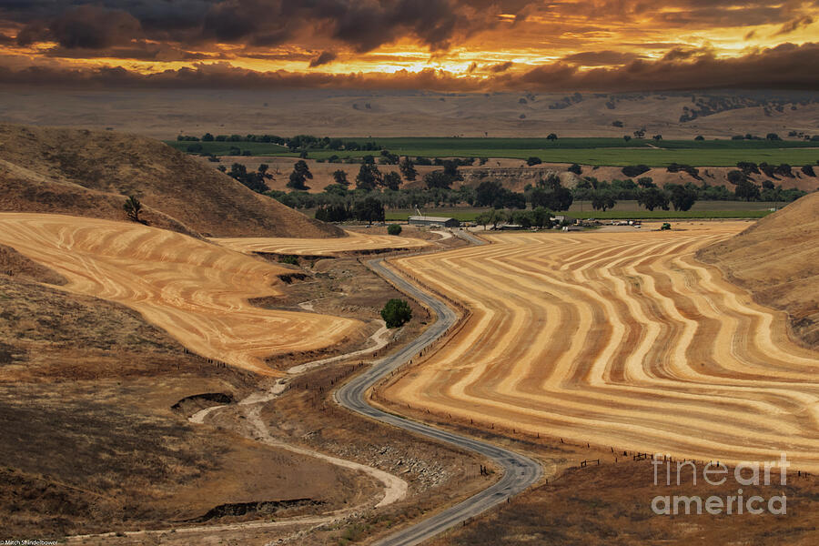 Sunset Photograph - Amber Waves Of Grain by Mitch Shindelbower