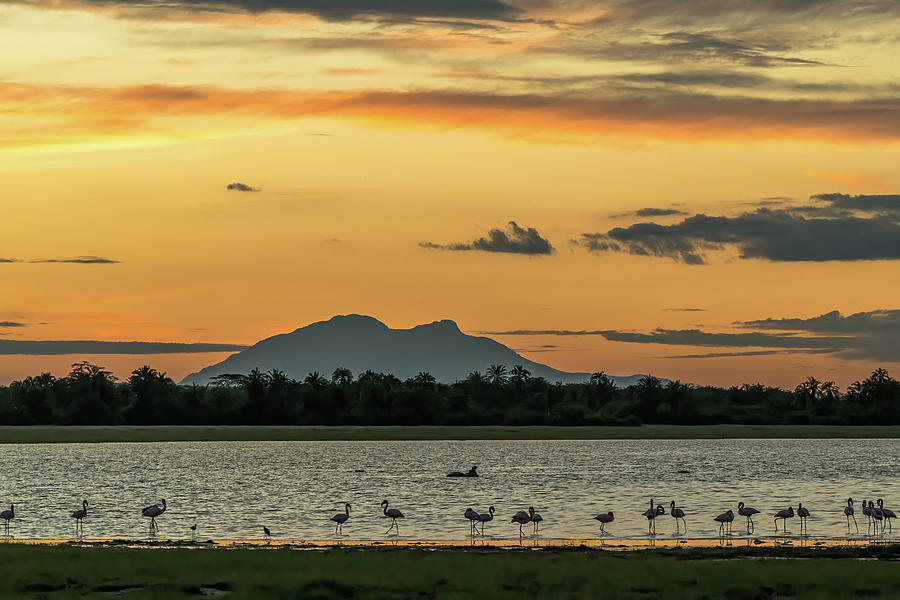 Amboseli Sunset Photograph by Eric Albright
