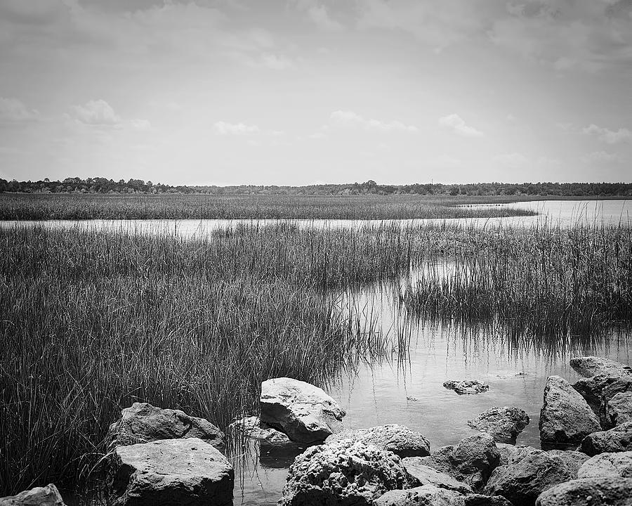 Amelia Island  Florida Marsh Photograph