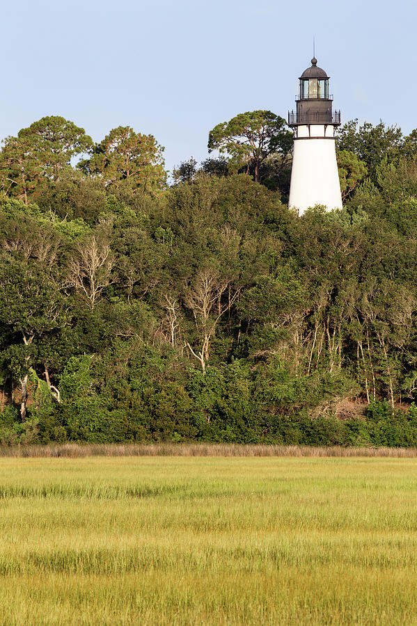 Amelia Island Lighthouse Above Egans Creek, Fernandina Beach, F Photograph by Dawna Moore Photography