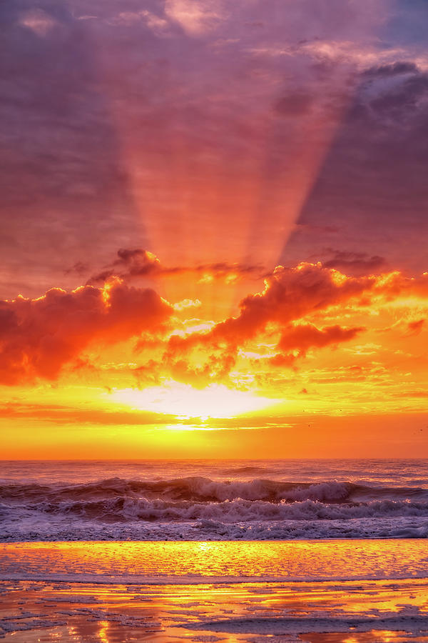 Amelia Island Sun Rays at Sunrise Vertical Photograph by Marc Crumpler