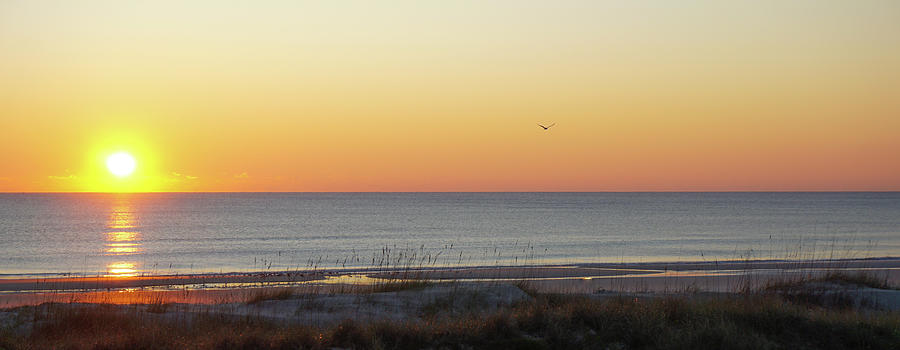 Amelia Island Sunrise Photograph by Katherine Y Mangum