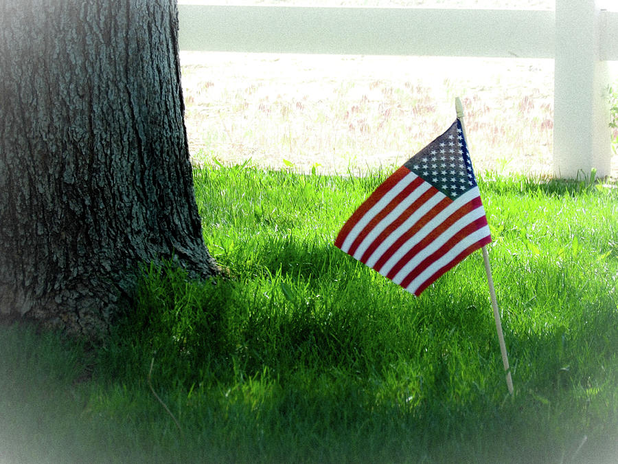 Mini American Flag Photograph