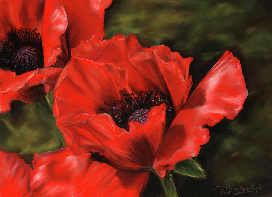 American Art Awards 1st Place Winner 2016, Poppies Drawing