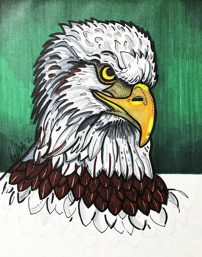 American Bald Eagle Drawing by Creative Spirit