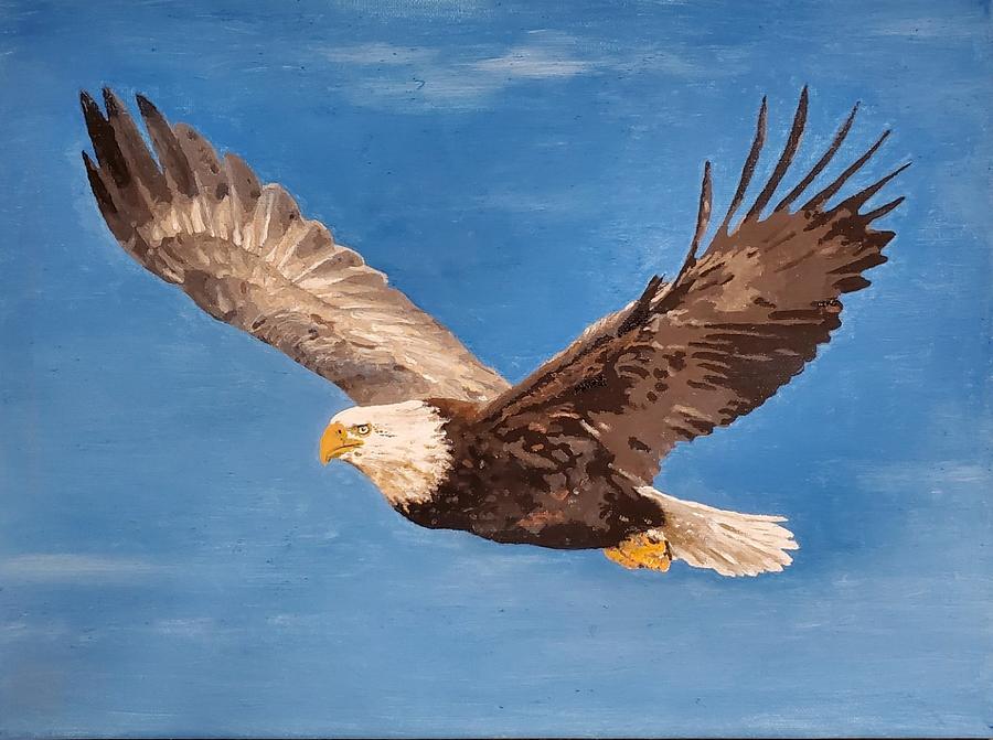 American Bald Eagle Painting by Glen Heppner