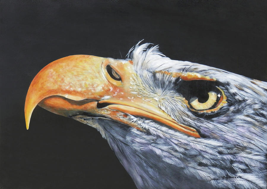 American Bald Eagle Painting by John Neeve