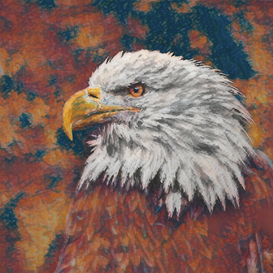 American Bald Eagle Portrait 5 Digital Art by Ernest Echols
