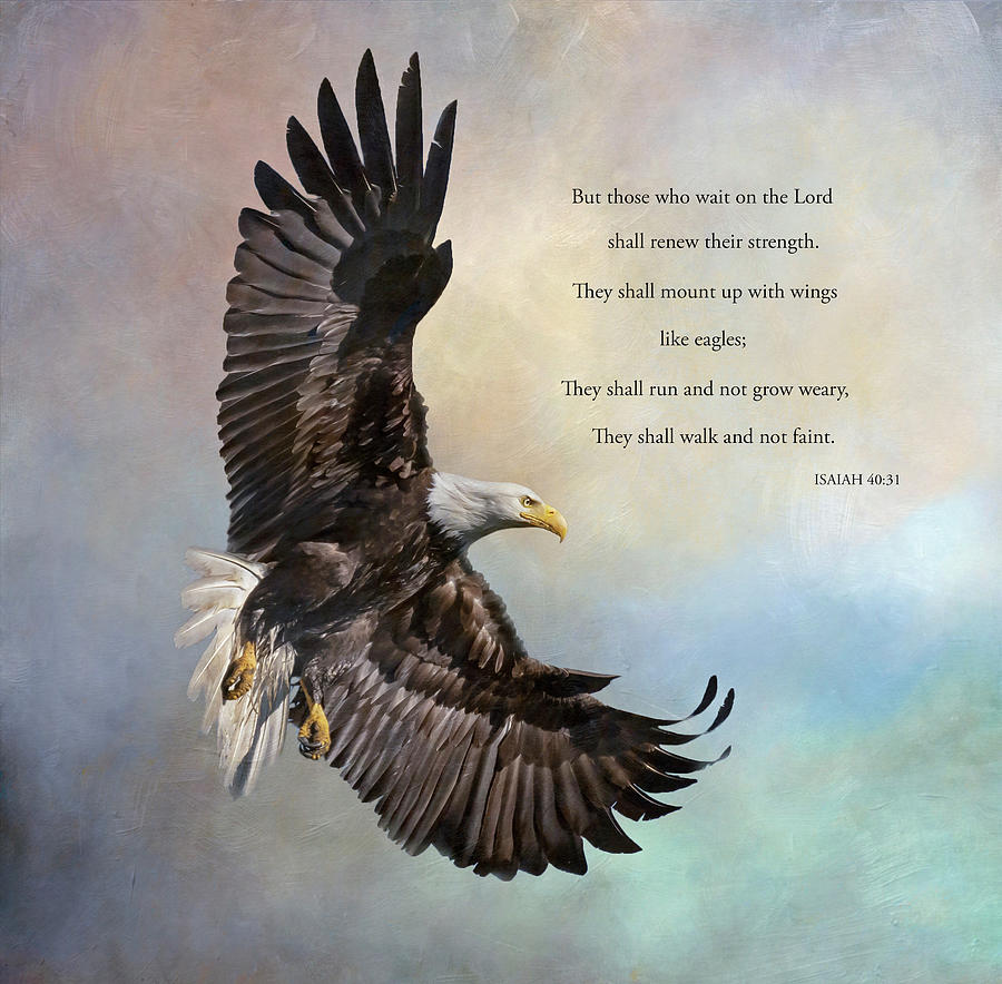 American Bald Eagle with Scripture Photograph by Angie Vogel