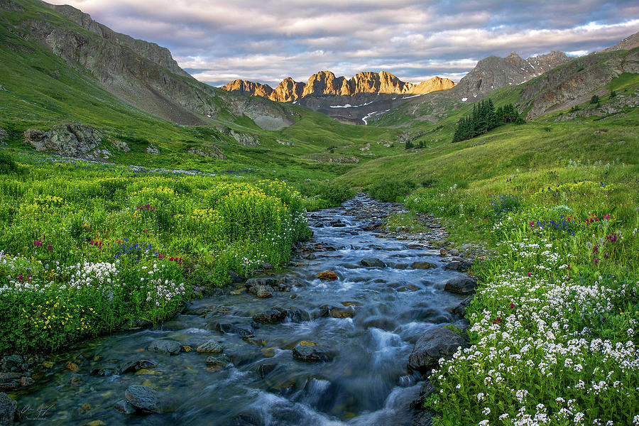 American Basin Stream Photograph by Aaron Spong