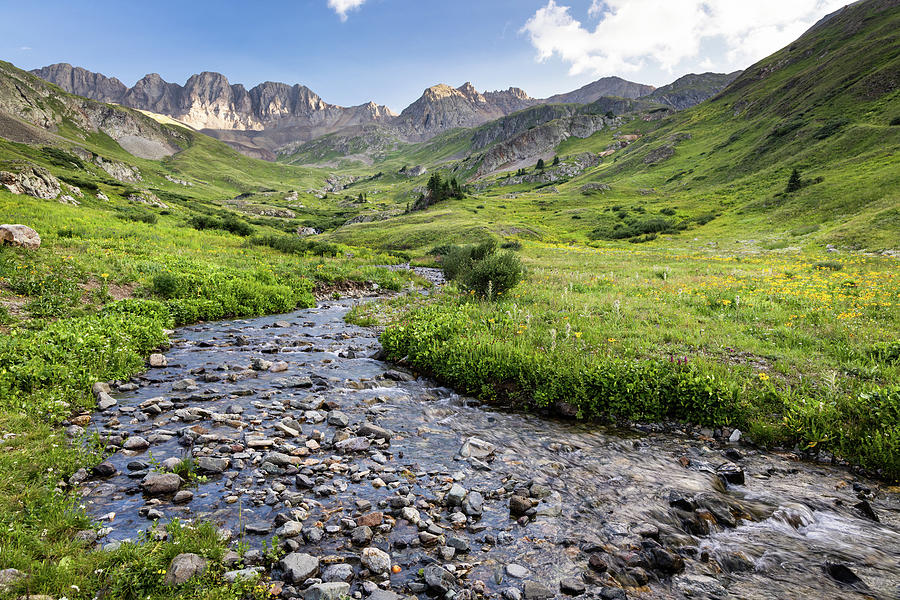 American Basin Stream and Wildflowers  Photograph by Adam Pender