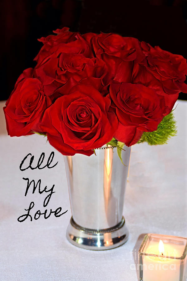 Rose Photograph - American Beauty Love Red Roses All My Love by Robin Lee Mccarthy Photography