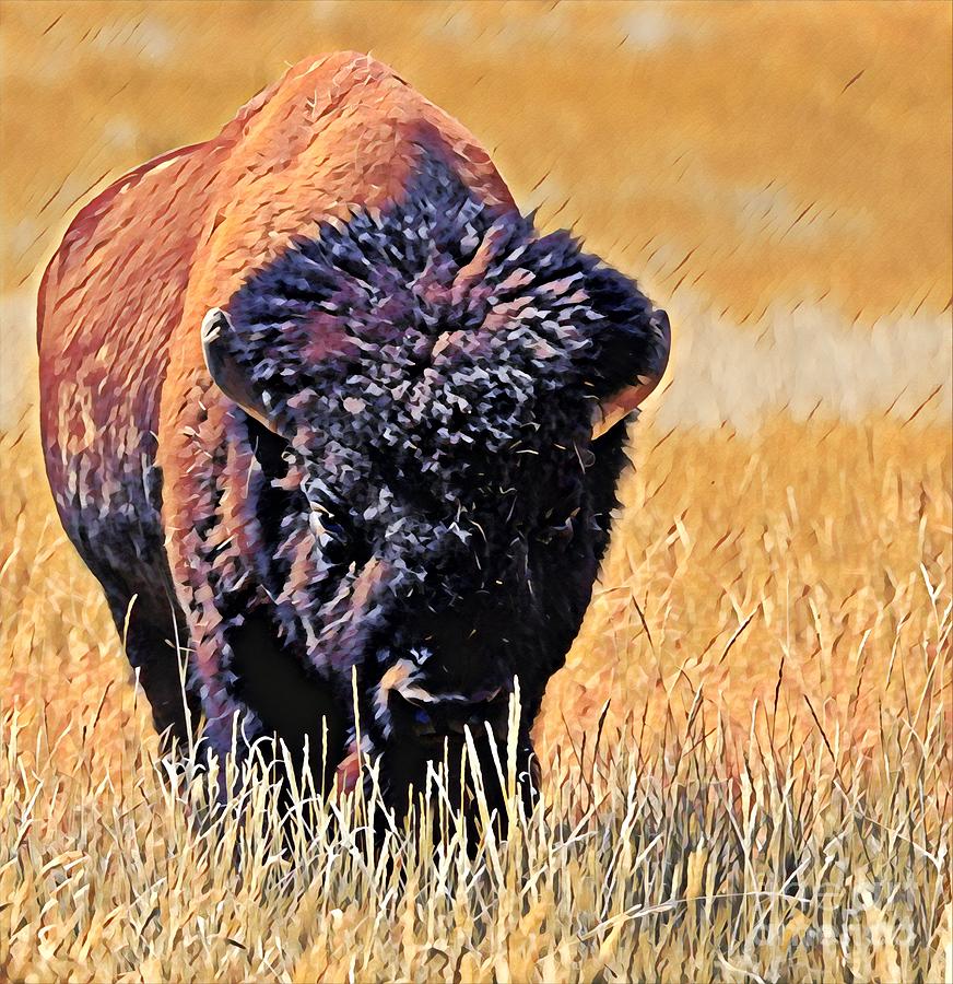 American Bison  Digital Art by Dlamb Photography