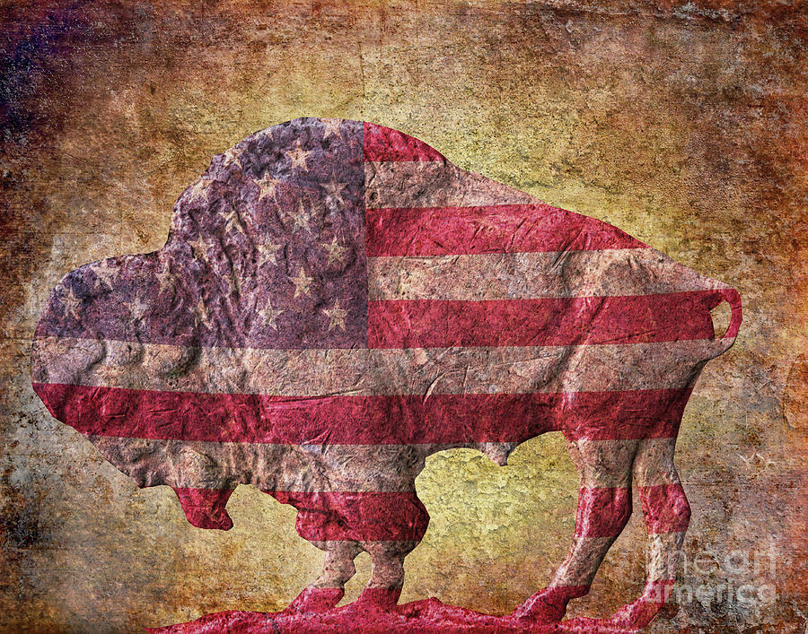 American Bison on Flag Digital Art by Randy Steele