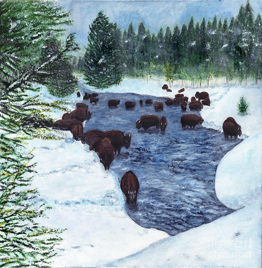 American Bison Painting Painting by Timothy Hacker