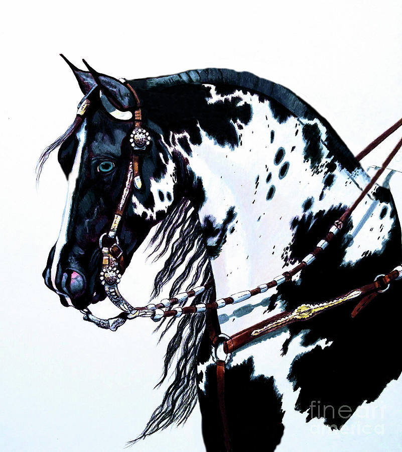 Horse Drawing - American Black and White Paint  by Cheryl Poland