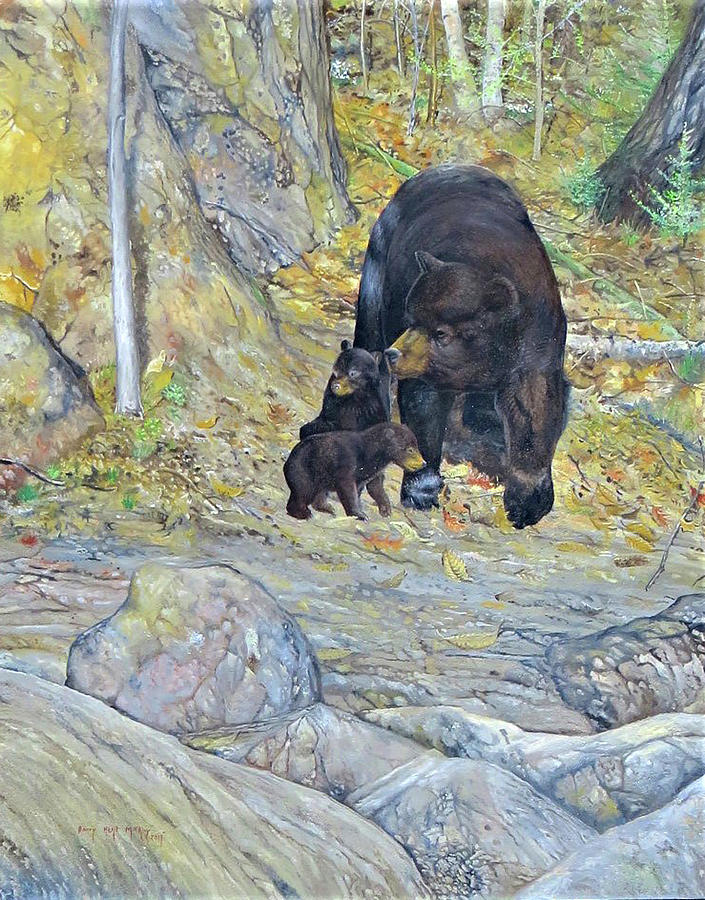 American Black Bear with Cubs Painting by Barry Kent MacKay