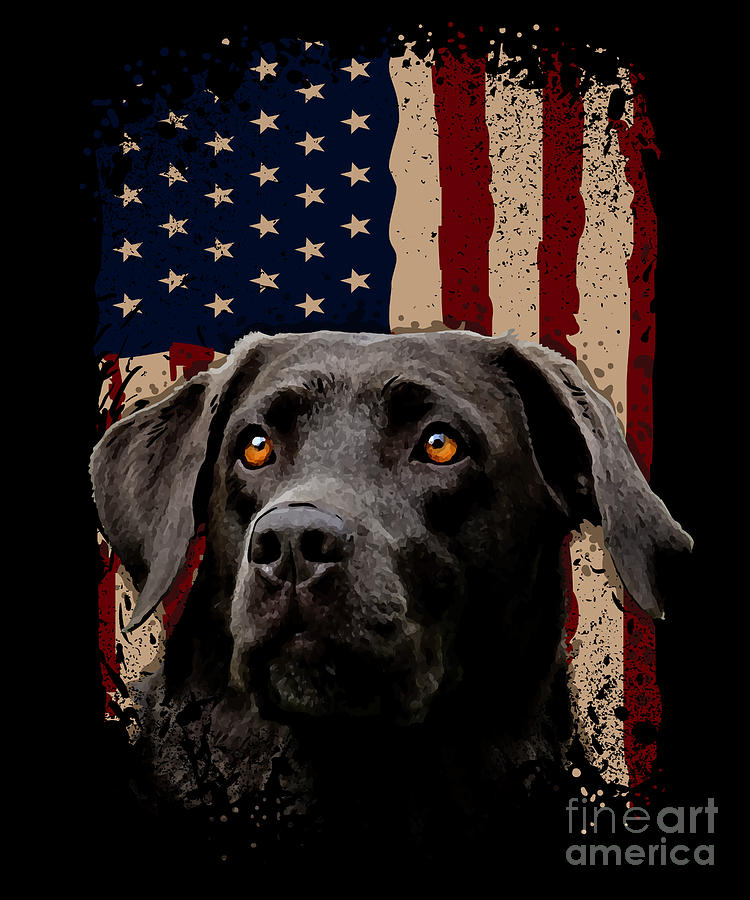 American Black Labrador USA Flag Lab Owner Digital Art by J M