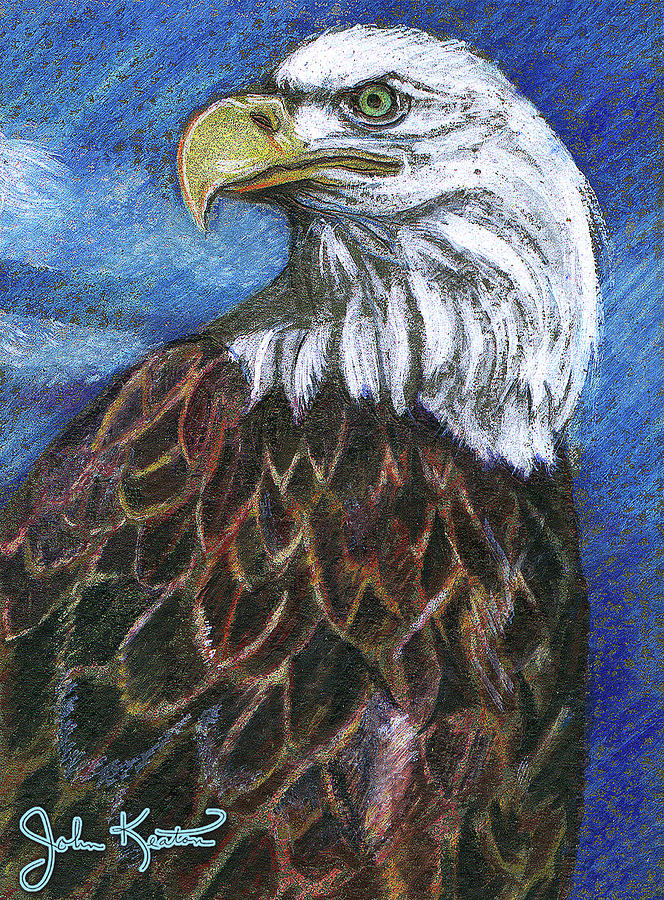Eagle Drawing - American Bald Eagle by John Keaton