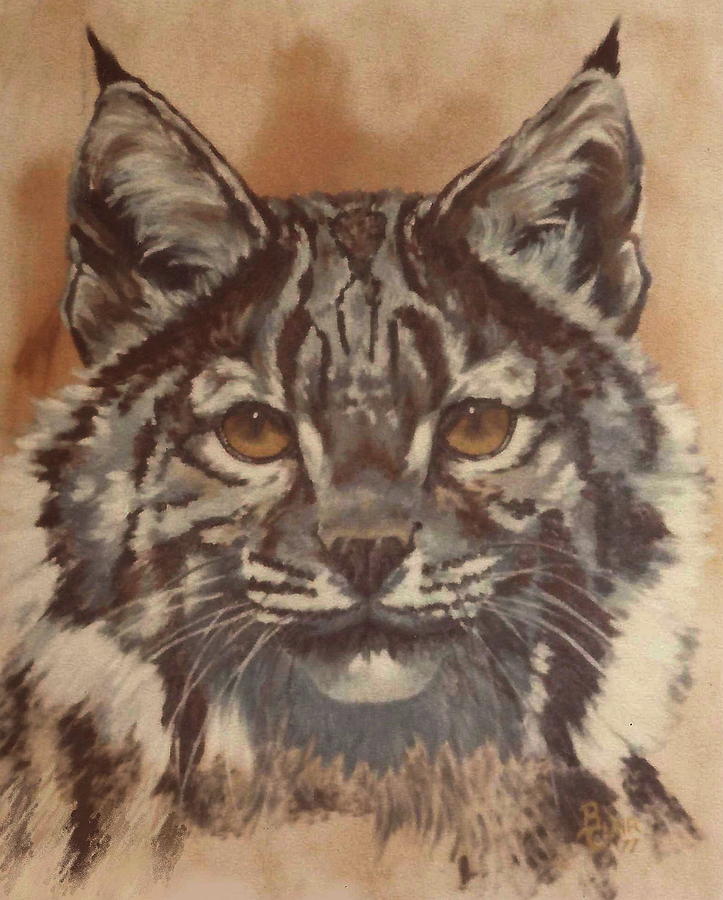 American Bobcat Painting by Barbara Keith