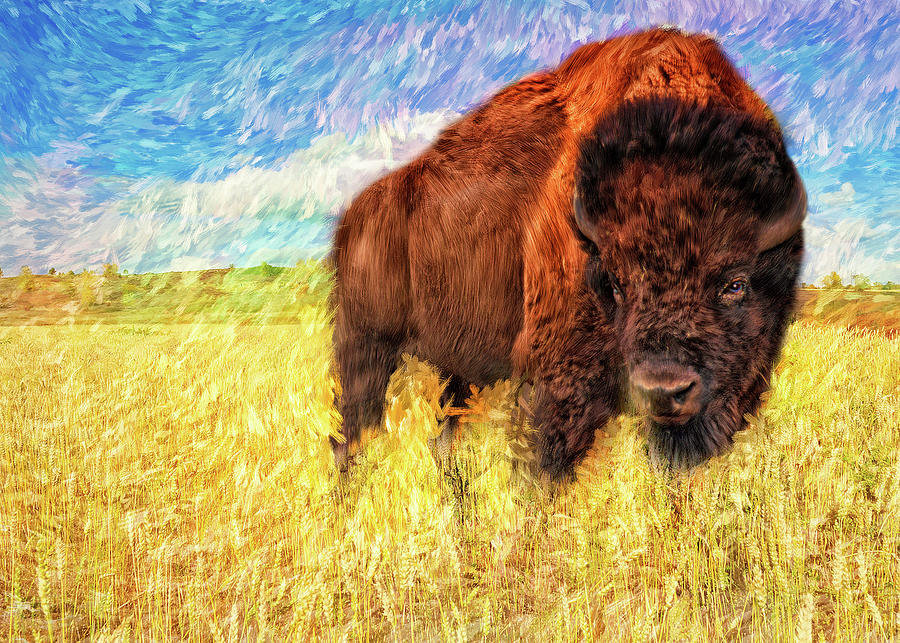 American Buffalo Painting by Doreen Erhardt