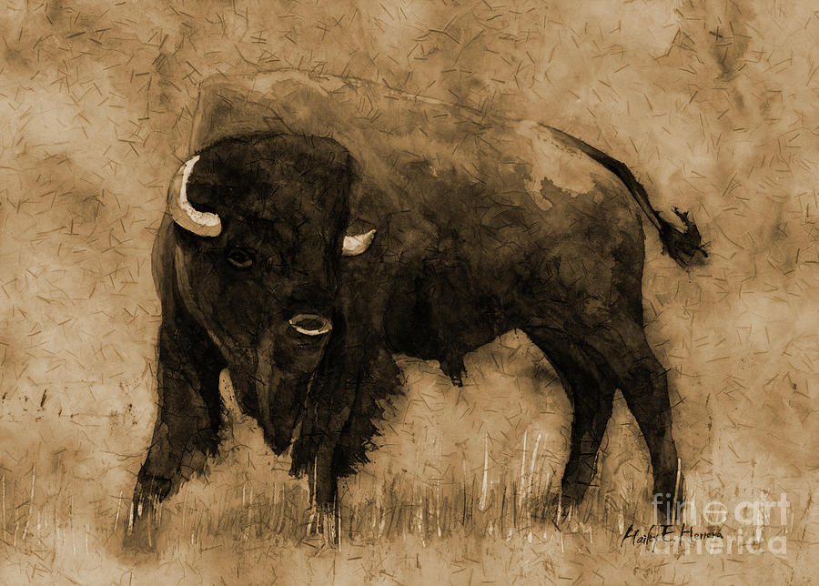 American Buffalo In Sepia Tone Painting
