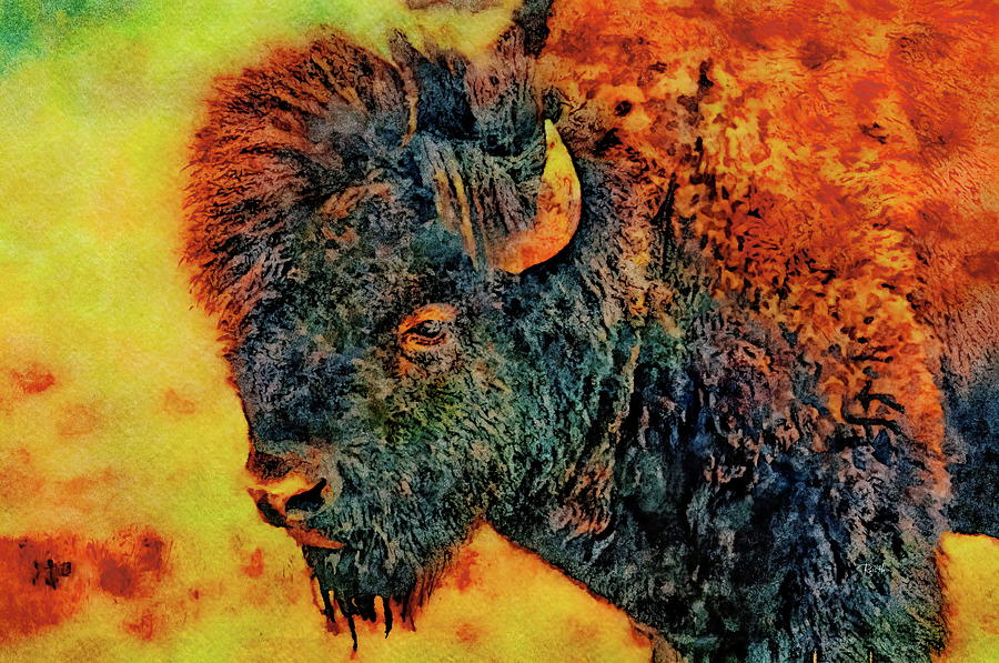 American Buffalo Painting by Russ Harris