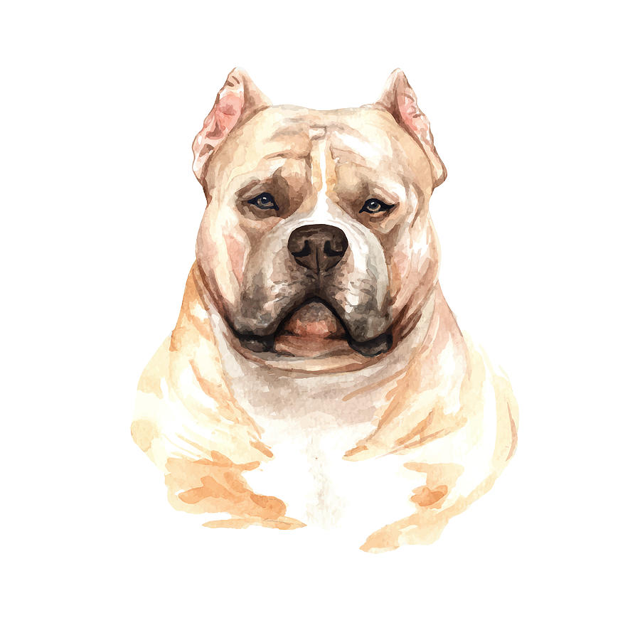 American Bully Digital Art by Abilio Fernandez