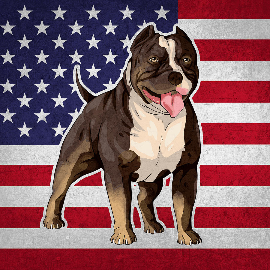 American Bully Breed - Bulldog Dog Digital Art by Crazy Squirrel - Fine