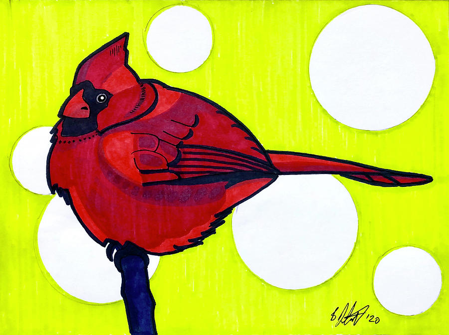 American Cardinal Drawing by Creative Spirit