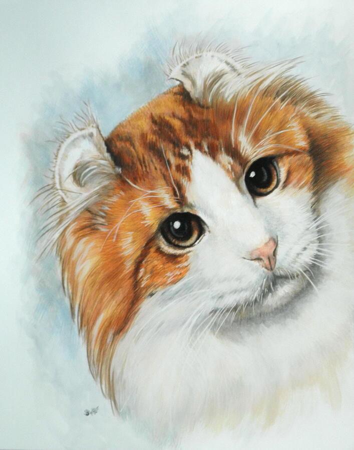 Download American Curl Portrait in Color Painting by Barbara Keith