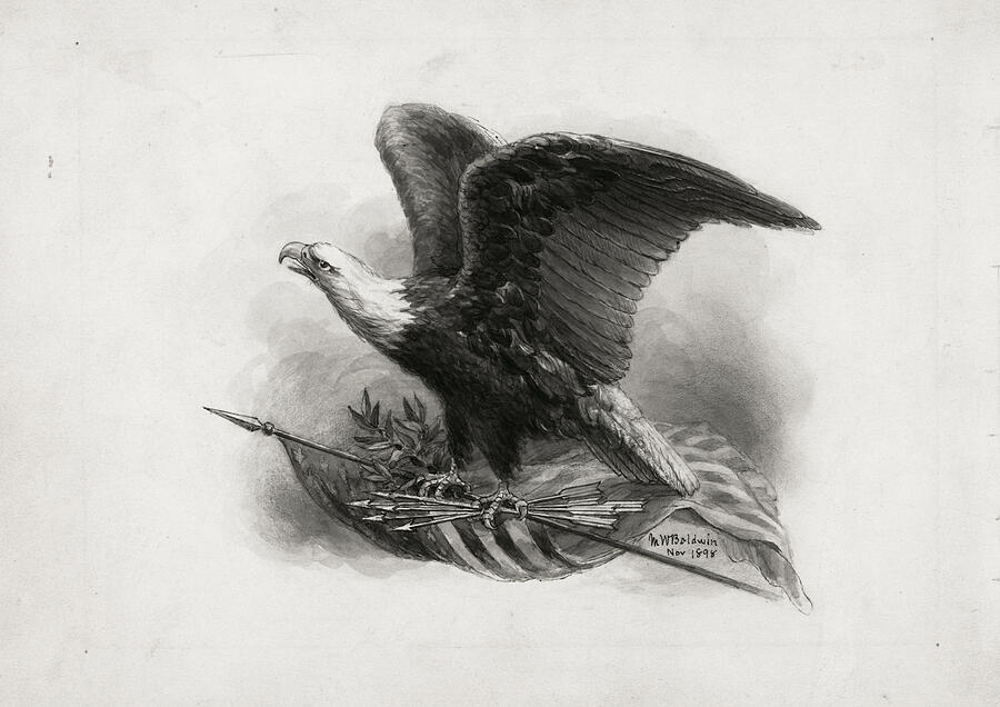 American eagle Drawing by Baldwin Marcus Wickliffe Pixels
