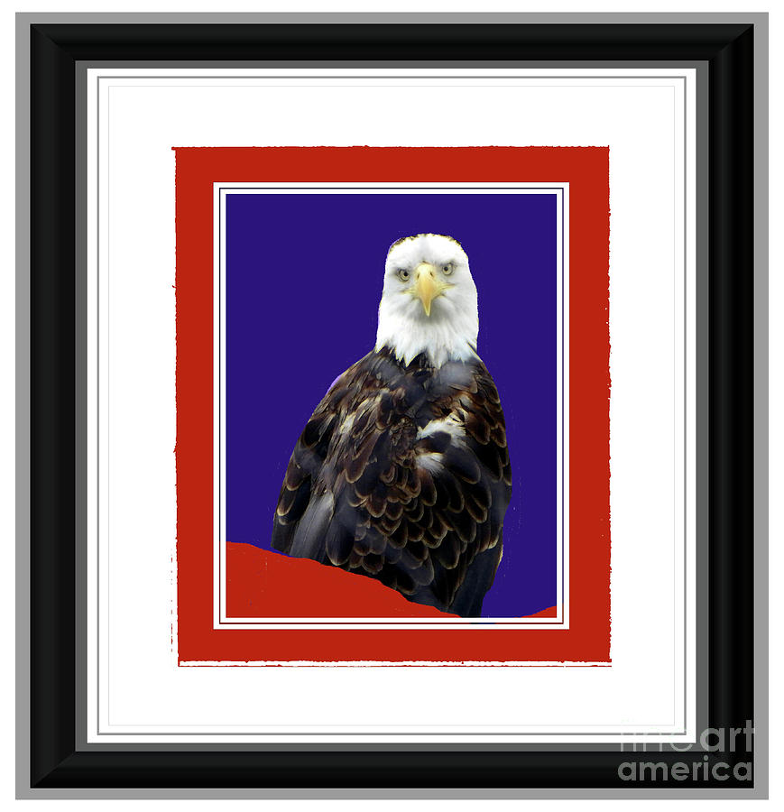 American Eagle Photograph by Shirley Moravec