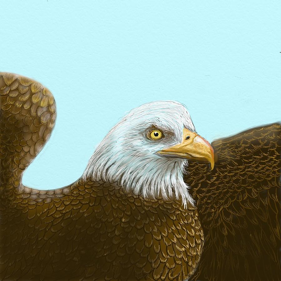 American Eagle Drawing by Suanne Forster