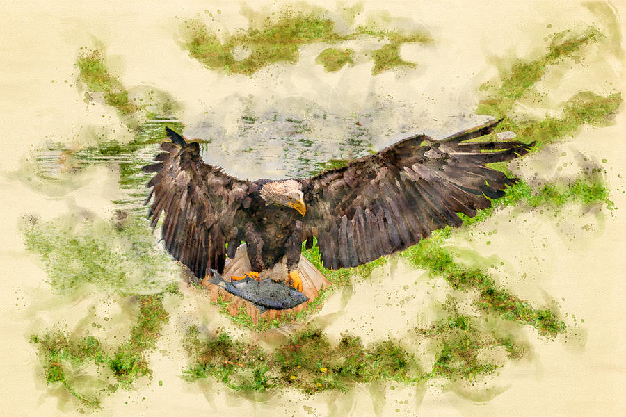 American Eagle Watercolor Digital Art by Luis G Amor - Lugamor