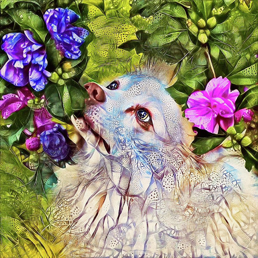 American Eskimo Dog Smelling Flowers Digital Art by Peggy Collins