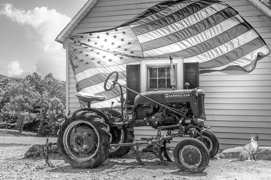 American Farmall Buckley Vineyards Black and White Photograph by Debra and Dave Vanderlaan