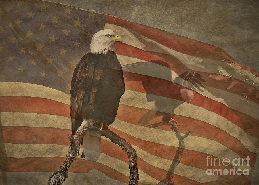 American Flag and Bald Eagles Distressed Antiqued Look Patriotic Photograph by Stephanie Laird