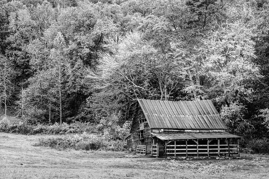 American Flag Barn in the Smokies Black a nd White Photograph by Debra and Dave Vanderlaan