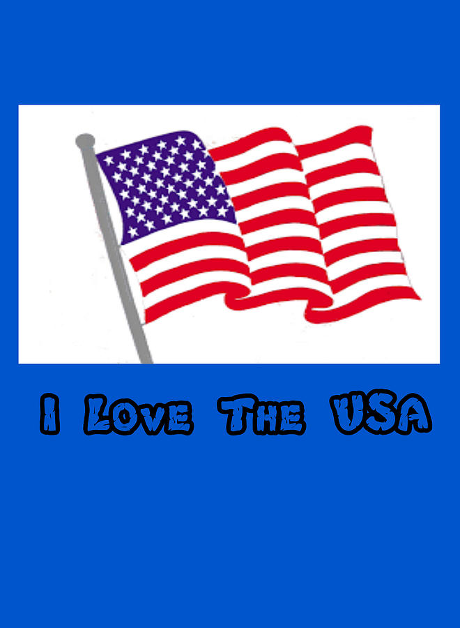 American flag Digital Art by Dolores Boyd