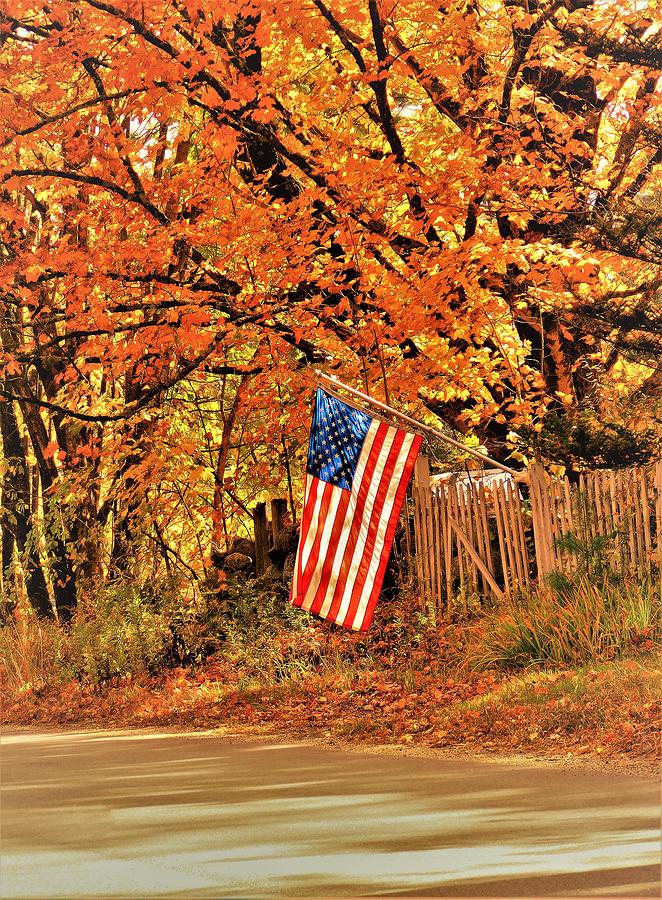 - American Flag - Fall Road Photograph by THERESA Nye