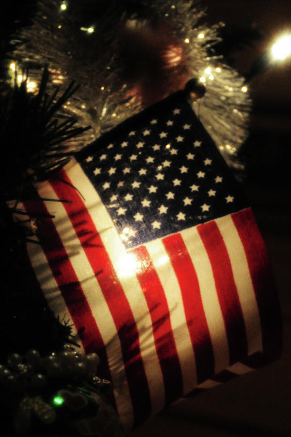 American flag light Photograph by Melissa Roe