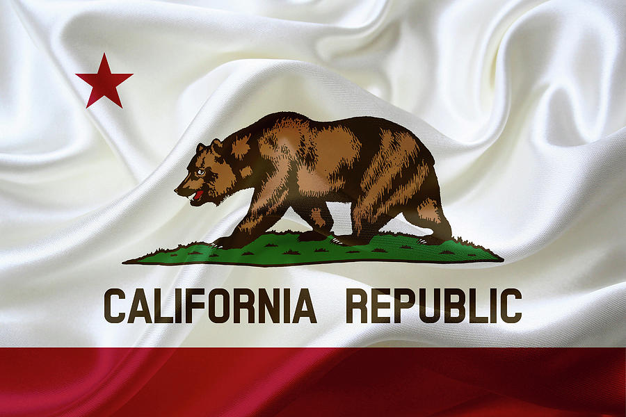 American Flag of California state Photograph by Alessandro Della Torre ...