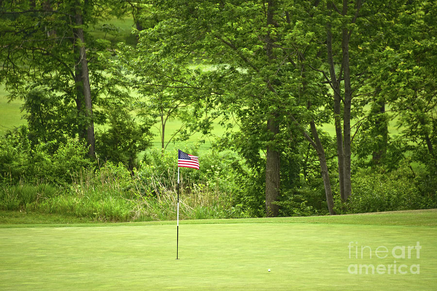 American Flag on Golf Green Photograph by Catherine Sherman