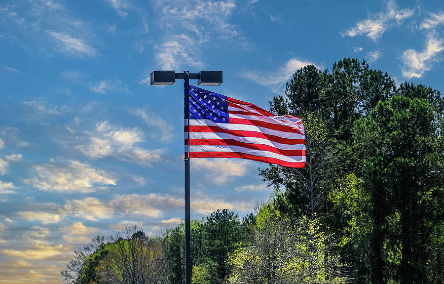 American Flag on LIght Pole Photograph by Darryl Brooks