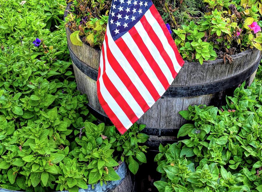 American Flag Wine Barrel Planters Photograph by Floyd Snyder